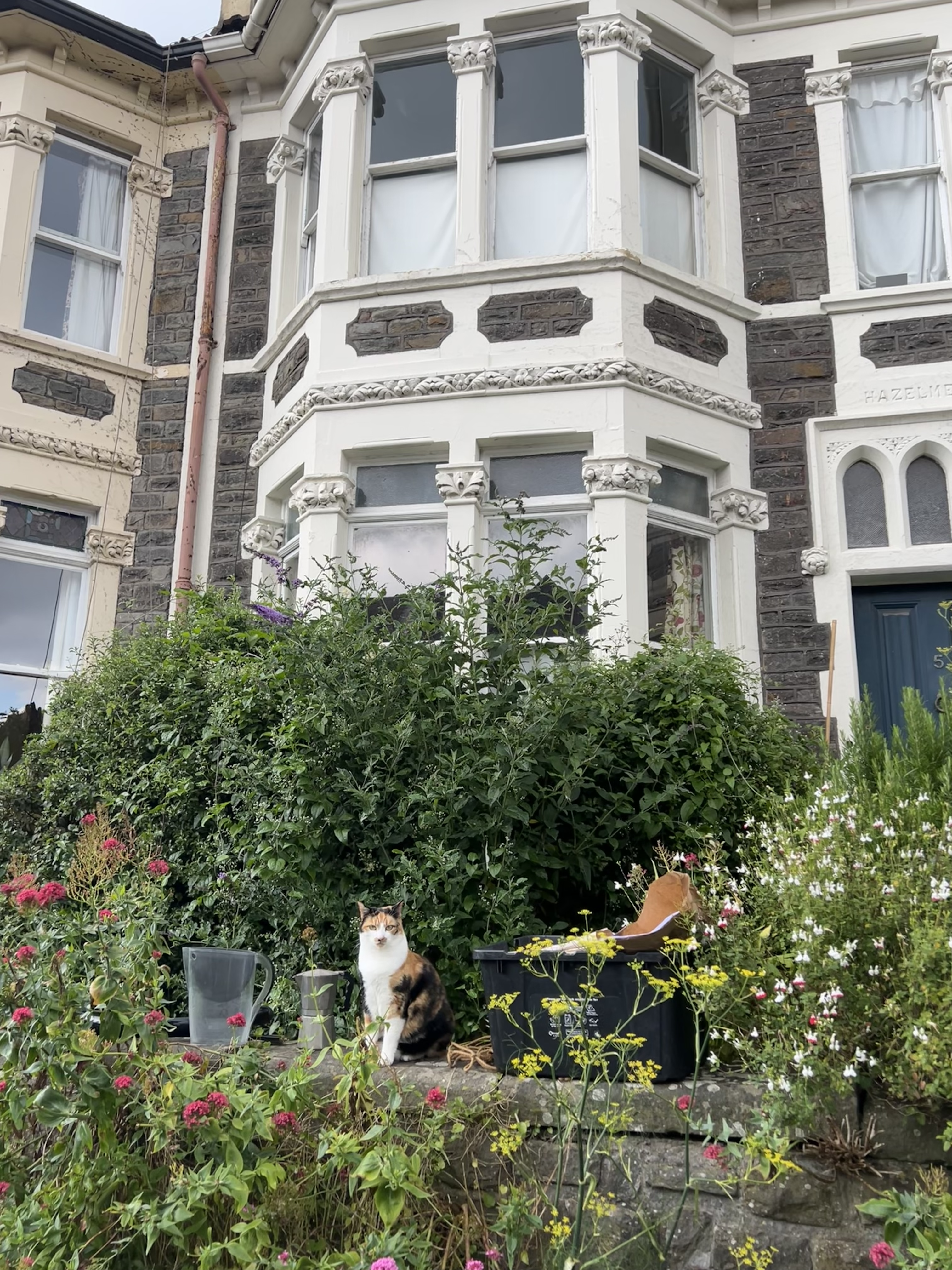 Montpelier, Bristol
